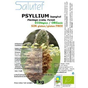 Psyllium Husck en Cáscara Bio 3kg - Delicatessin